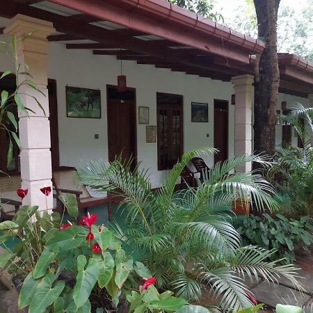 Sigiri Jungle Villa Sigiriya Exterior photo