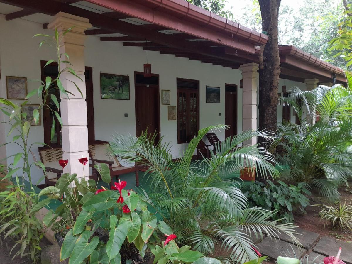 Sigiri Jungle Villa Sigiriya Exterior photo