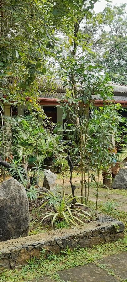 Sigiri Jungle Villa Sigiriya Exterior photo